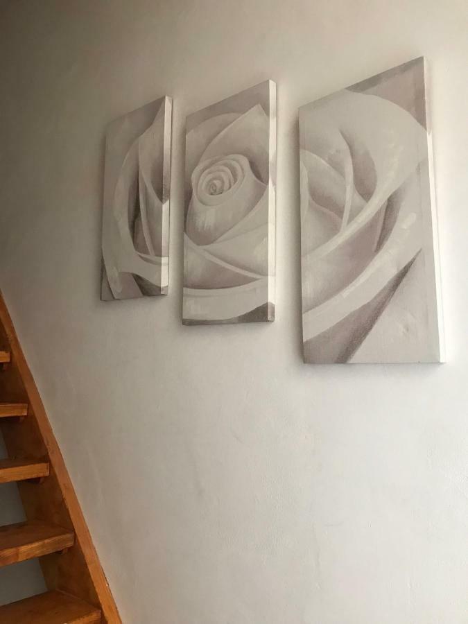 Il Nido - Cozy Studio Apartment In Santa Croce فلورنس المظهر الخارجي الصورة